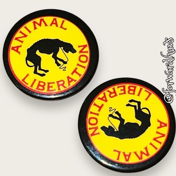Bundle Sale 3 for $15 | Animal Activist | Animal Rights Pins - Picture 4 of 7